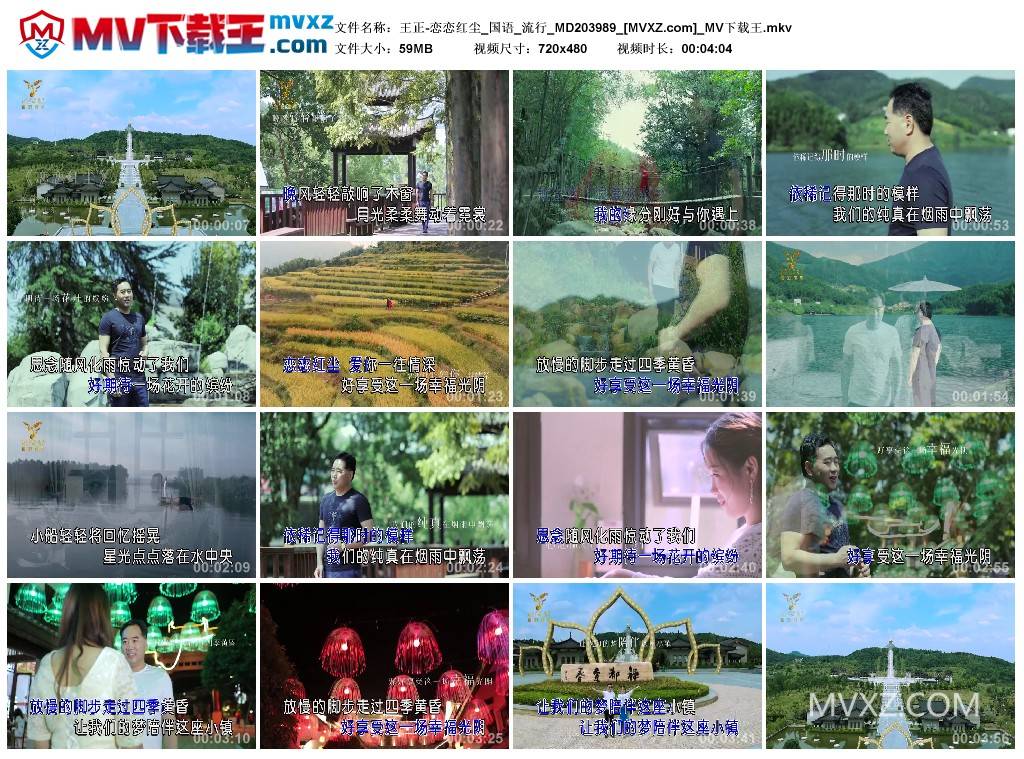 王正-恋恋红尘_国语_流行_MD203989